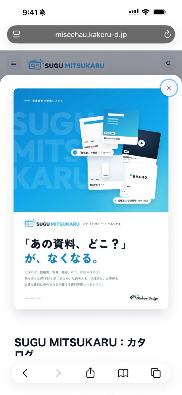 見つけたカタログを開いた画面