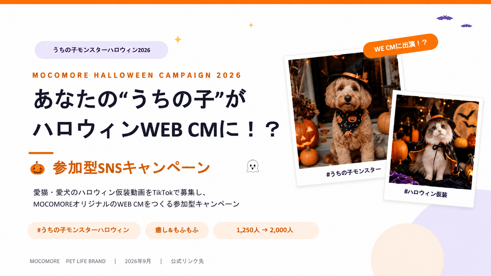Claudeで企画書を作ったら、ここまでできた|デザイン判断をSkill化して資料作成