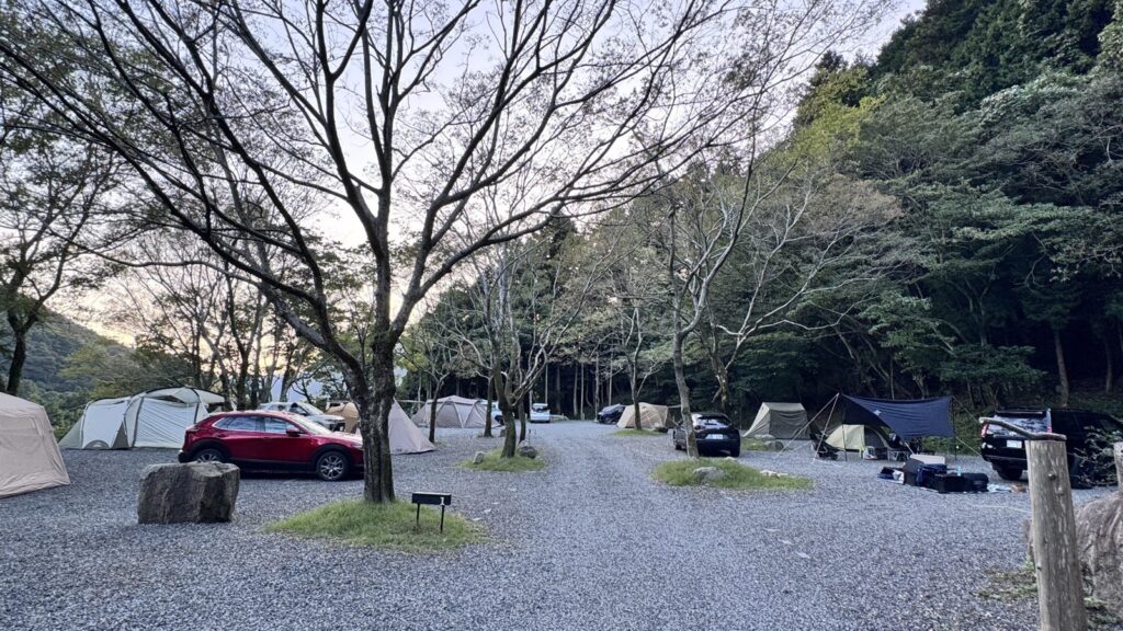 カワステラスの場内。木々の間にテントが並んでいる
